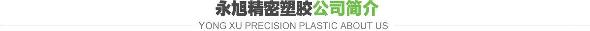 永旭精密塑胶公司简介